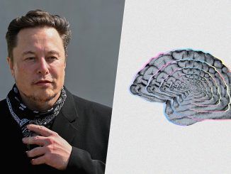 Neuralink ha sobrevivido a su año más difícil desde que existe. Y ahora parece más fuerte que nunca