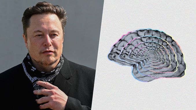 Neuralink ha sobrevivido a su año más difícil desde que existe. Y ahora parece más fuerte que nunca