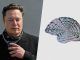 Neuralink ha sobrevivido a su año más difícil desde que existe. Y ahora parece más fuerte que nunca