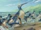 Tres veces más grandes que los mayores pingüinos modernos: Así era el “megapingüino” de Nueva Zelanda