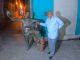 Programa del festival de Son decano de Cuba «MATAMOROSON» #santiagodecubacunadelson