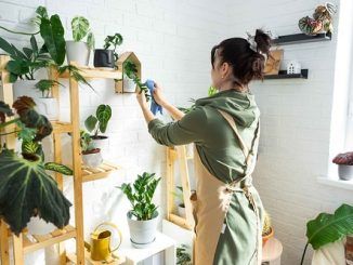 Plantas peligrosas: cuáles es mejor evitar en casas, terrazas y jardines comunitarios