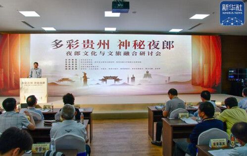 Seminario sobre integración cultural en el misterioso Yelang