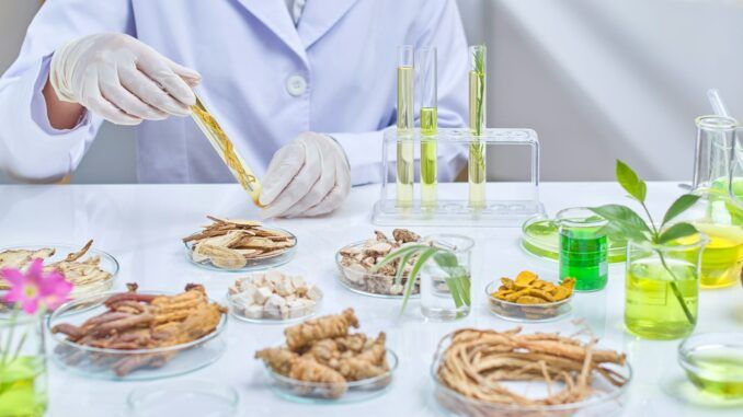 La liga de la salud: cinco moléculas de origen vegetal con beneficios demostrados