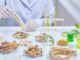 La liga de la salud: cinco moléculas de origen vegetal con beneficios demostrados