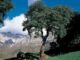 El Corredor de Ecoturismo de la España Verde iniciará